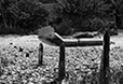 What Remains 19